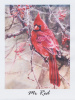 10 Pack of Headwaters Fine Art Cards 4" x 5" with envelopes - Mr. Red